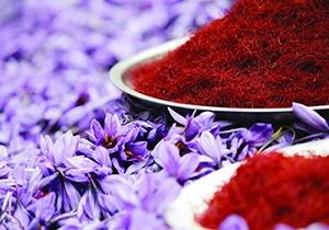 التهاب بازار زعفران با احتکار و قیمت گذاری دلالان 