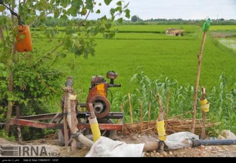 حفر چاه های غیرمجاز برای کشت دوم برنج