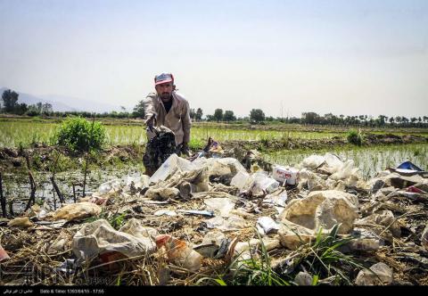 آبیاری شالیزارهای جنوب تهران با فاضلاب!